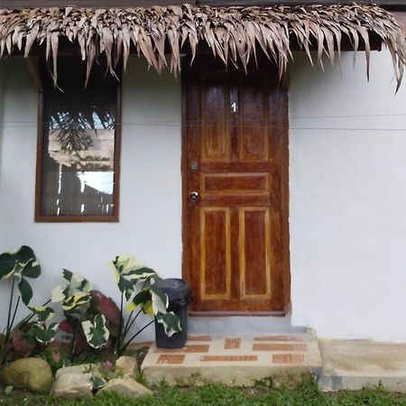Ziah'S Guest House San Vicente  Exterior photo