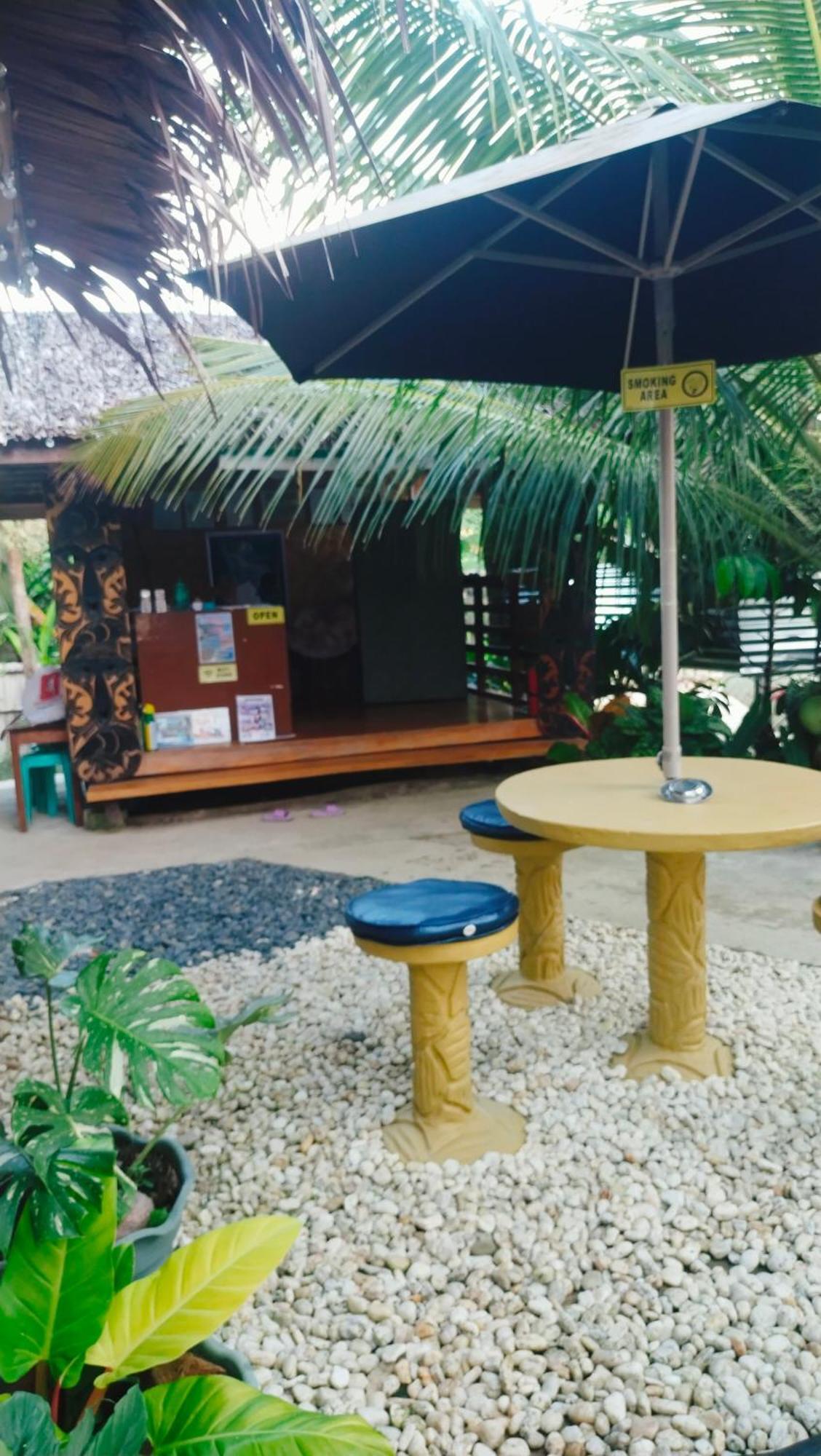 Ziah'S Guest House San Vicente  Room photo